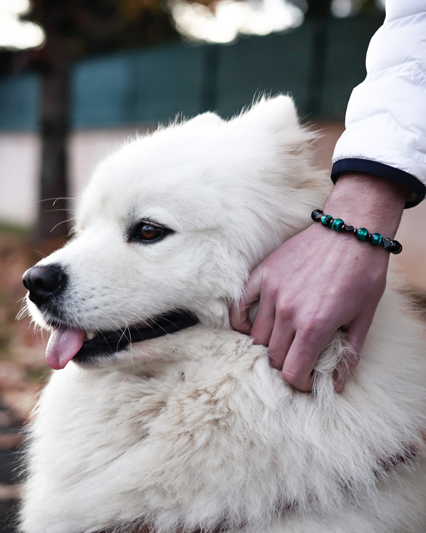 BRACELET CLASSIC SEIKO GREEN HOTARU - Paris Pearl